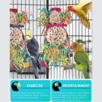 Vibrant Foraging Shredder Bird Toys – Sola & Sepak Takraw Balls — view 4