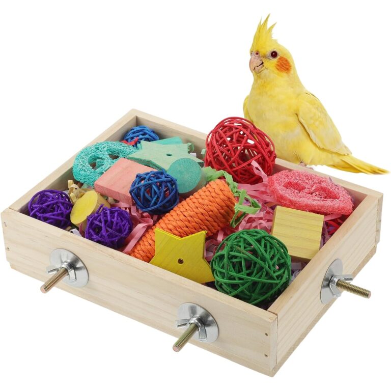 Natural Wood Foraging Bird Toy Box with Chewable Parrot Playthings