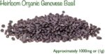 Organic Genovese Basil Seeds - image 4