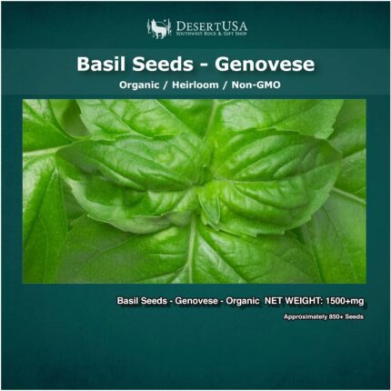 Organic Genovese Basil Seeds
