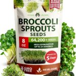 Home Grown Broccoli Sprouting Seeds