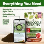 Home Grown Broccoli Sprouting Seeds - image 7