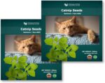 Premium Heirloom Catnip Seeds - image 10