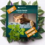 Premium Heirloom Catnip Seeds