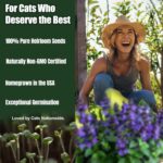 Premium Heirloom Catnip Seeds - image 3