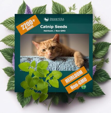 Premium Heirloom Catnip Seeds