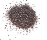 Premium Heirloom Catnip Seeds - image 6