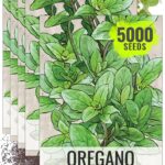 Italian Oregano Seeds