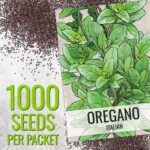 Italian Oregano Seeds - image 3