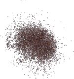 Italian Oregano Seeds - image 6