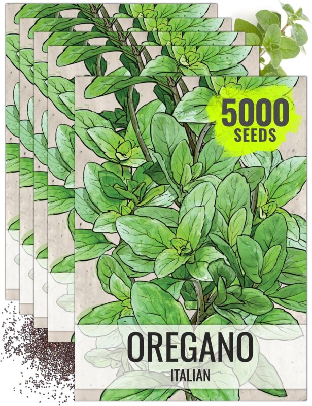 Italian Oregano Seeds
