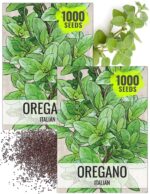 Italian Oregano Seeds - image 9