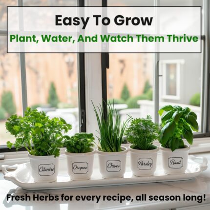 Nature Heirloom Herb Seeds - image 2
