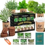 Indoor Herb Garden Starter Kit