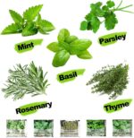 Indoor Herb Garden Starter Kit - image 4