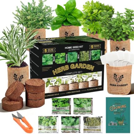Indoor Herb Garden Starter Kit