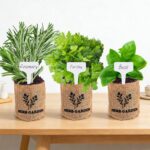 Indoor Herb Garden Starter Kit - image 6