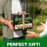 Indoor Herb Garden Starter Kit - image 7