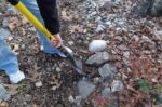 Ergonomic D-Handle Digging Shovel – photo 2