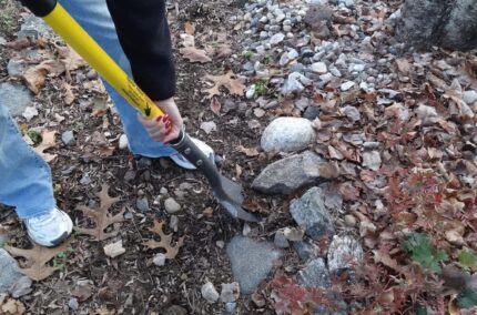 Ergonomic D-Handle Digging Shovel – photo 2