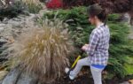 Ergonomic D-Handle Digging Shovel – photo 8