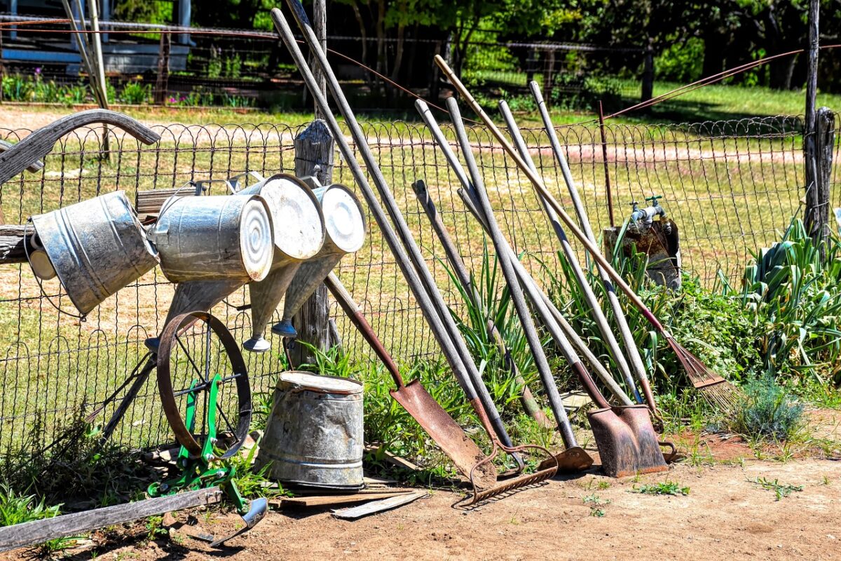 Shovel vs Spade: What’s the Difference and Which Do You Need?