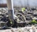 How to Dig Properly Without Hurting Your Back