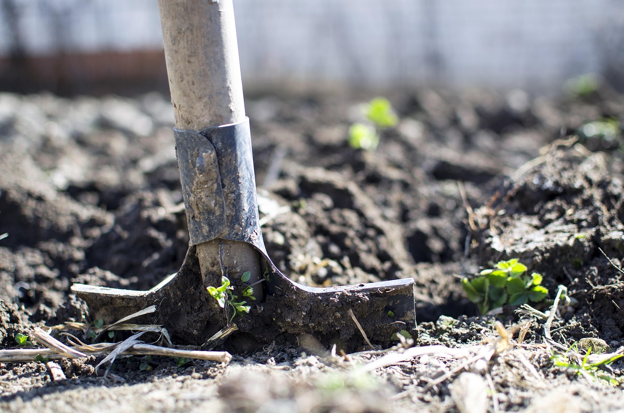 How to Dig Properly Without Hurting Your Back