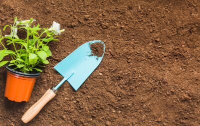 Essential Digging and Garden Tools Every Gardener Needs
