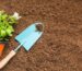 Essential Digging and Garden Tools Every Gardener Needs