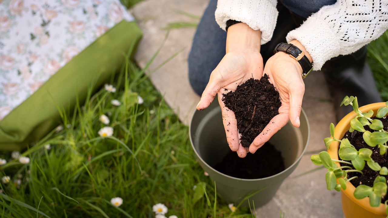 Hands working soil with a garden tool