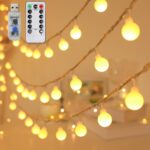 Dimmable G40 Globe String Lights - Hình 13