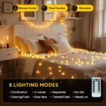Dimmable G40 Globe String Lights - Hình 2