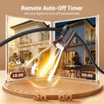 200FT Dimmable S14 LED Outdoor String Lights - Hình 6