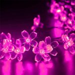 LED Flower String Lights - Hình 14