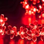 LED Flower String Lights - Hình 15