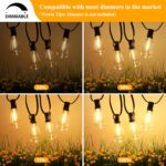 Shatterproof ST38 LED Outdoor String Lights - Hình 4