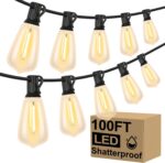 Shatterproof ST38 LED Outdoor String Lights - Hình 8