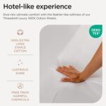 Threadmill White 800 TC Cotton Sateen Sheet Set - Hình 3