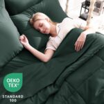 Forest Green All-Season Comforter - Hình 3