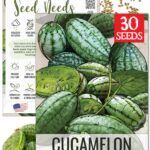 Seed Needs Cucamelon Seeds