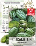 Seed Needs Cucamelon Seeds