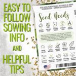 Seed Needs Cucamelon Seeds - image 4
