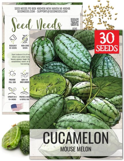 Seed Needs Cucamelon Seeds