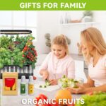 Indoor Hydroponic Seed Starting Kit - image 2