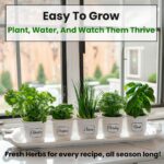 Nature Z Edge Heirloom Herb Seeds - image 2