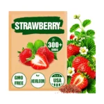 Heirloom Strawberry Seeds
