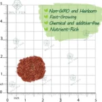 Heirloom Strawberry Seeds - image 3