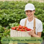 Heirloom Strawberry Seeds - image 6