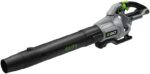 615 CFM Cordless Blower